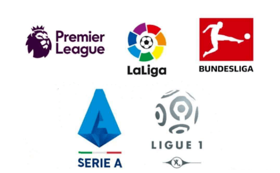 此次比赛因 此次比赛因